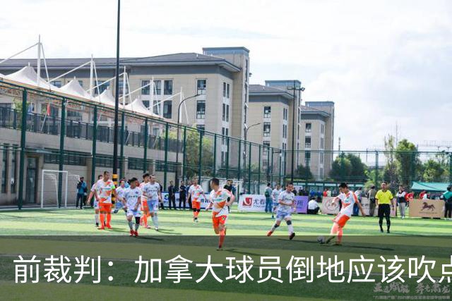 前裁判：加拿大球员倒地应该吹点球，VAR介不介入的标准不统一