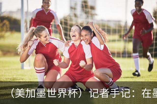（美加墨世界杯）记者手记：在墨西哥城，足球是一场庆典